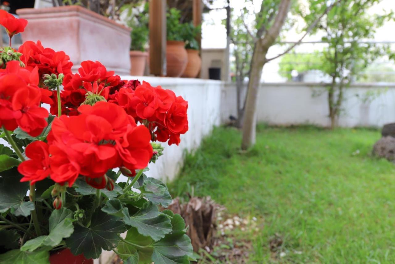 Willa Belle Maison Kawala Zewnętrze zdjęcie
